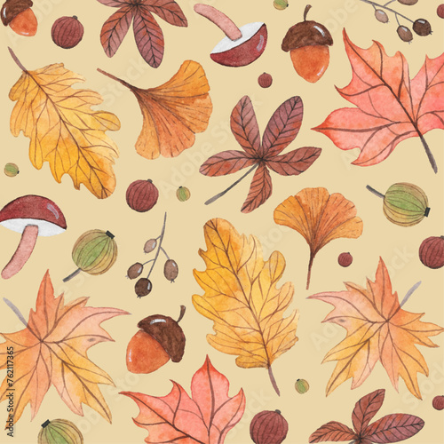 Yellow  brown and orange watercolor autumn illustrations. Cute leaves  branches  berries  mushrooms and acorns design elements. Hand painted watercolor colorful autumn plants. Autumn background.