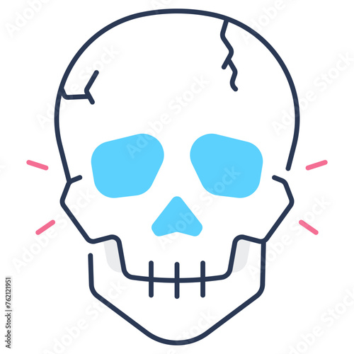 Skull Icon