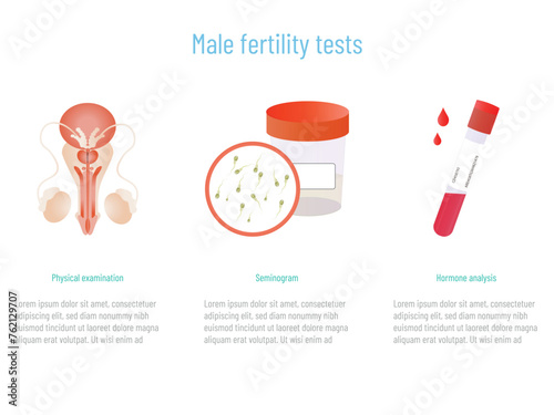 Medical tests to check fertility in men, such as hormone analysis, physical examination and semen analysis.