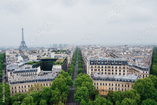 Beautiful view of Paris with Eiffel Tower and parisian buildings with typical rooftops. © Iryna