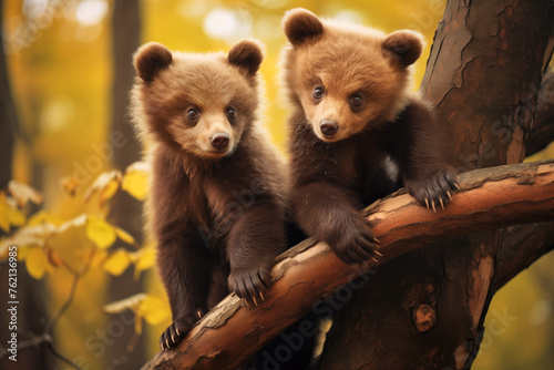 Curious Bear Cubs Exploring Autumn Forest