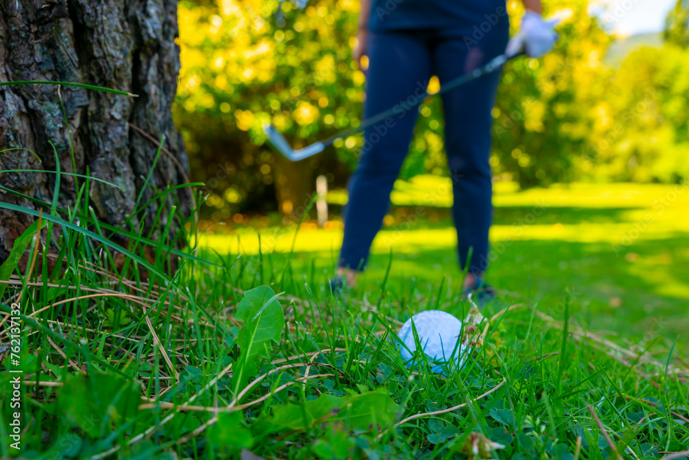 custom made wallpaper toronto digitalGolf Ball Lying on the Rough Grass and Golfer with Golf Club Searching for the Golf Ball in the Trees in a Sunny Day in Switzerland.