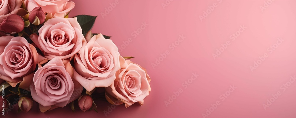 Bunch of Roses Isolated on Pink Background with Copy Text Space Panorama. Generative AI