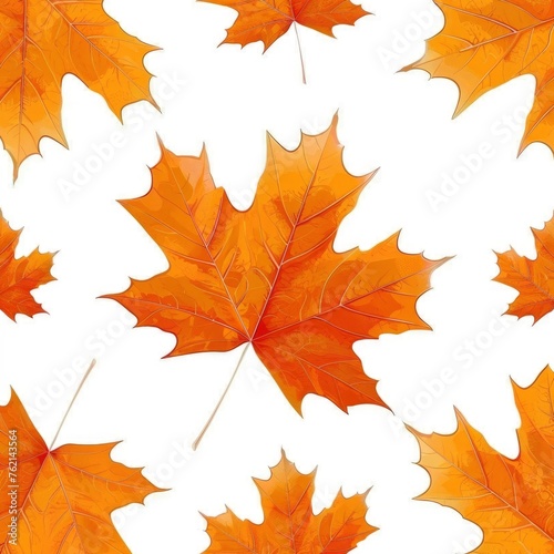 Colorful Pattern Made Fallen Autumn Leaves On White Background  Illustrations Images