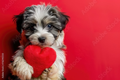 Adorable Dog with Heart on Isolated Background, AI Generative  © NikoArakelyan