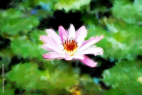 Photo painting  illustrated photo with oil painting effect. water lily 