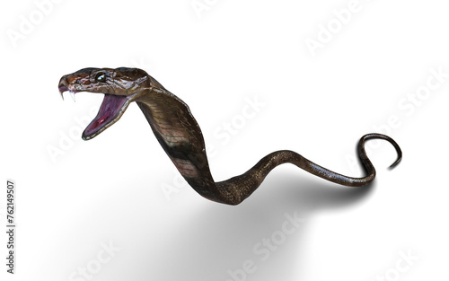 Close-Up Of 3d Illustration King Cobra Snake Attack Pose Isolated on White Background.