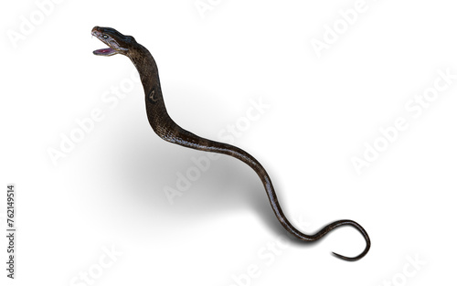 Close-Up Of 3d Illustration King Cobra Snake Attack Pose Isolated on White Background.