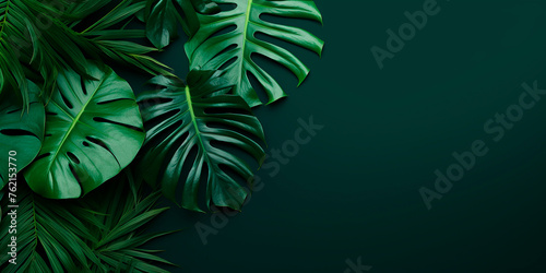 Green tropical leaves of monstera and palm. Decorative tropical plants with space for text