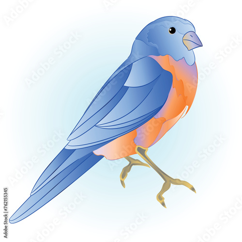 Bird small bird thrush  on a blue background   watercolor vintage  vector illustration editable hand draw