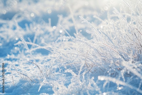 Winter background and winter morning. Frozen grass under the snow, snowflakes and sunlight, rays.