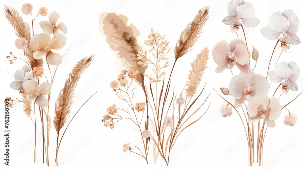 Floral modern collection of tropical palm leaves, orchids, pampas grass, and dried lunaria flowers. Pastel watercolor floral template isolated collection for weddings, bouquet frames, decoration