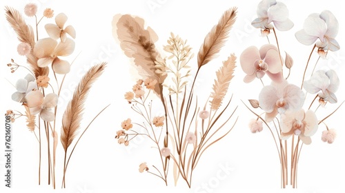 Floral modern collection of tropical palm leaves, orchids, pampas grass, and dried lunaria flowers. Pastel watercolor floral template isolated collection for weddings, bouquet frames, decoration