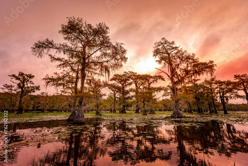 The beauty of the Caddo Lake with trees and their reflections at sunrise photo
