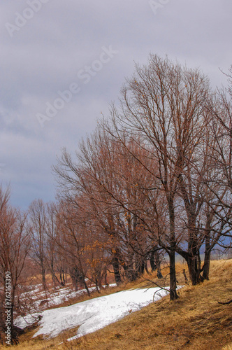 The yellow fields contrast with the white snow, signaling the arrival of spring. The trees stand bare, protecting from the last vestiges of winter. Withered grass hints at the change of seasons.