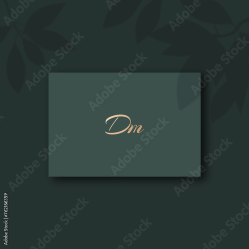 Dm logo design vector image