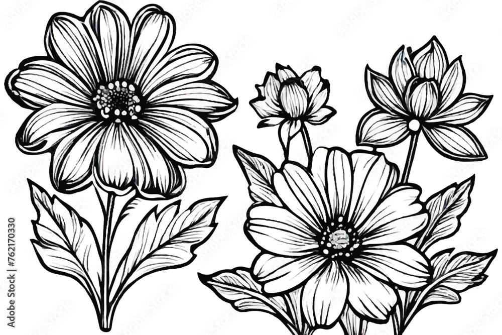Black outline of coloring book flowers in the doodling style. Black and white Floral Background. Abstract elegance seamless pattern with floral background. Flower Coloring Page, Flower Line Art. 