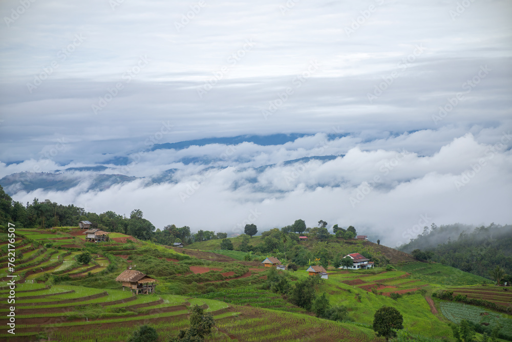 Misty Morning Over Lush Green Rice Terraces