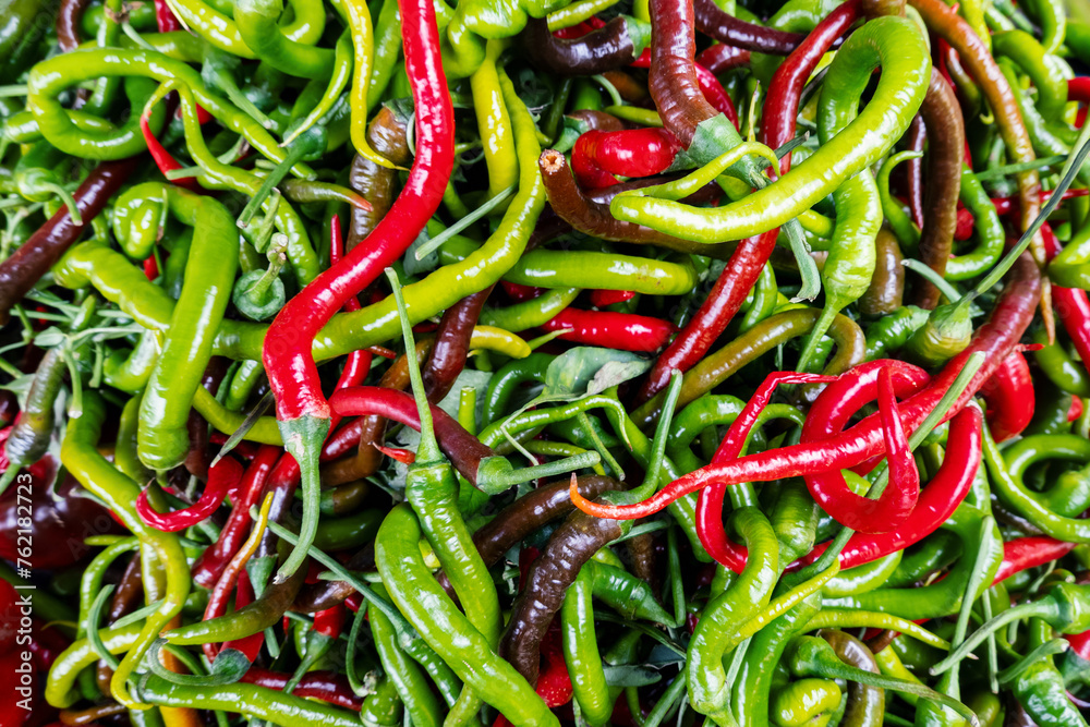 Hot chili pepper harvest, red and green long capsicum pepper heap, top view, hot spice cooking ingredient