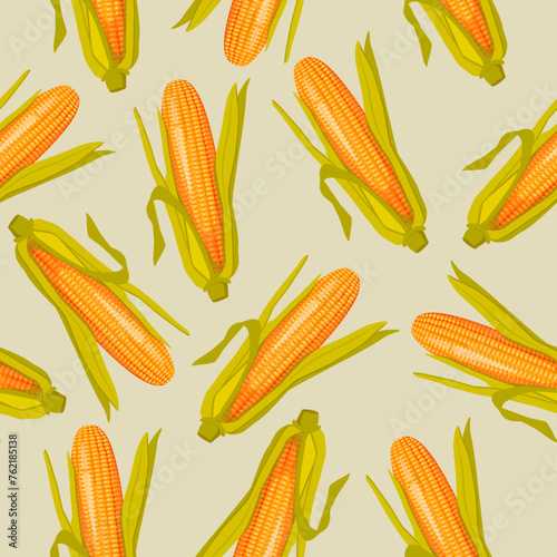 Corn on a light background. Corn cobs. Corn top view.