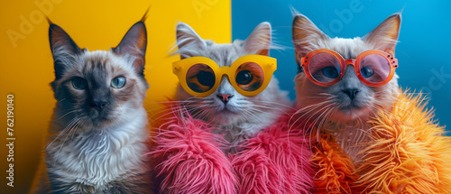 Fashion-forward image of three cats wearing trendy sunglasses and bright fur coats against a blue and yellow backdrop