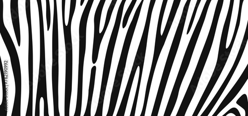 Cartoon black and white safari zebra, line pattern. Zebra print, animal skin, tiger stripes sign. Africa, animal texture wave. jungle patroon. © MarkRademaker