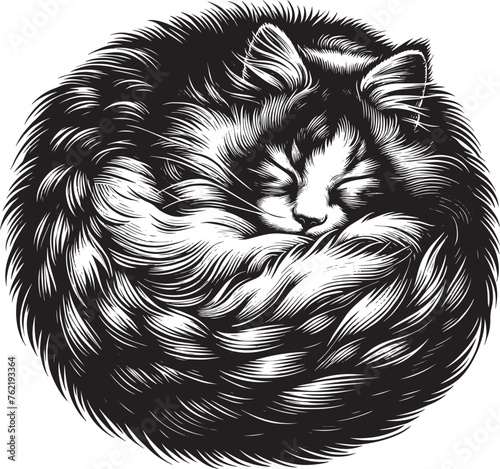 Black and White Cute Cat Vector Illustration