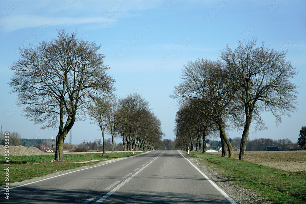 Fototapeta premium Asphalt road in countryside - driver's perspective