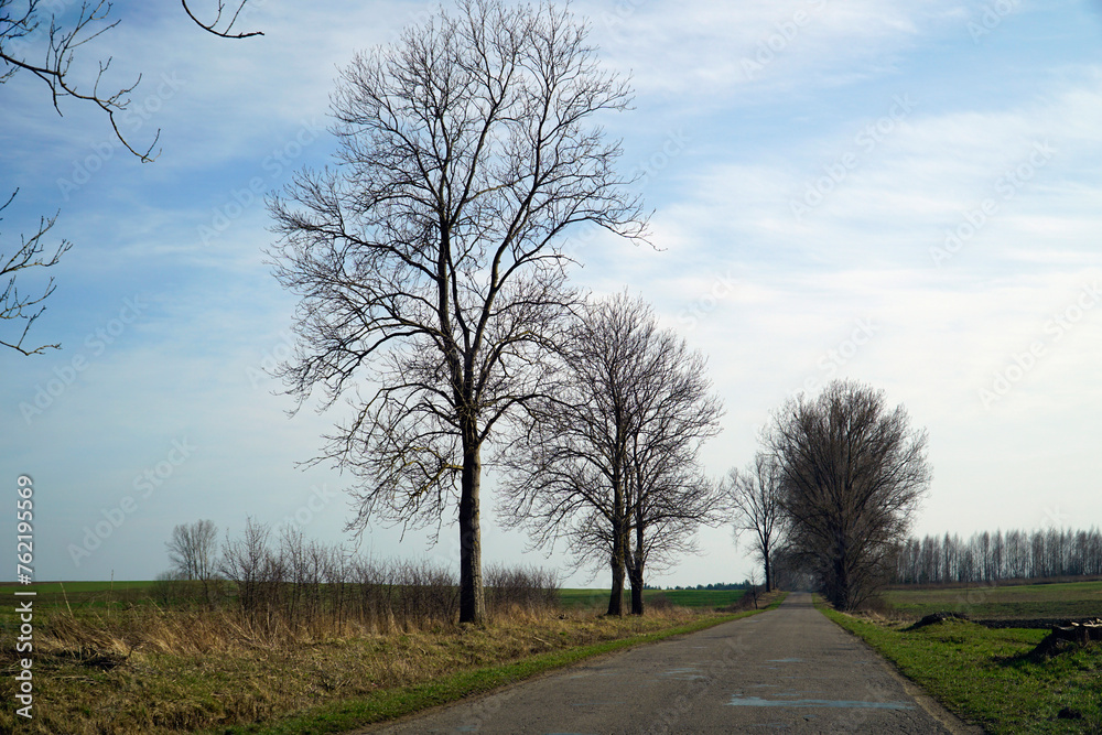 Asphalt road in countryside - driver's perspective Asphalt road in countryside - driver's perspective