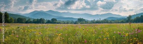 A painting depicting a vibrant meadow with lush green grass and colorful wildflowers, set against a backdrop of majestic mountains. The scene captures the contrast between the serene valley and the ru