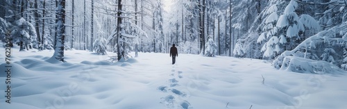 A person walking through a forest covered in snow, surrounded by tall trees with white branches and a thick blanket of snow on the ground. The individuals footprints are visible in the snow as they ma © vadosloginov