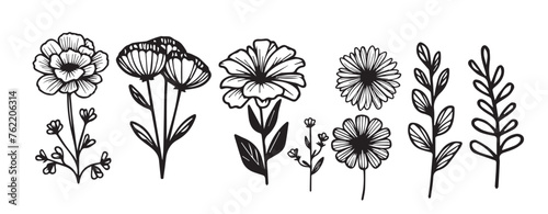 set of flowers Vector