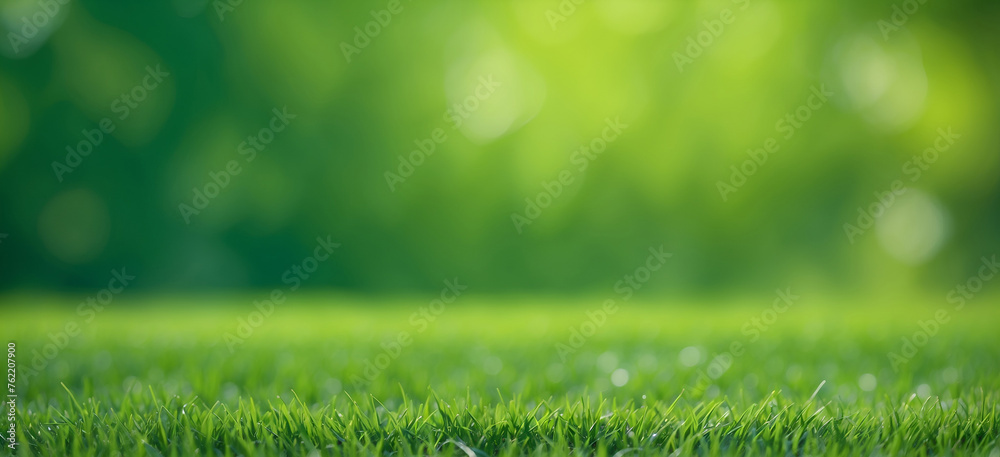 Closeup green grass, blurred green bokeh with shiny sunlight, green grass spring background. Closeup green grass, blurred green bokeh with shiny sunlight, green grass spring background.