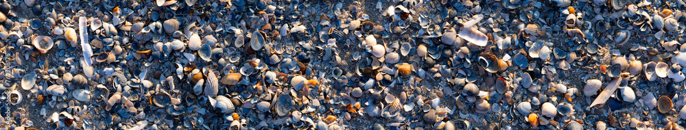 Panoramic beach background pattern with hundreds of colorful sea shells lying on the sand at low tide. Mussels, fragments of shells and sand in natural reserve and national park “Wattenmeer“ Germany. - obrazy, fototapety, plakaty 