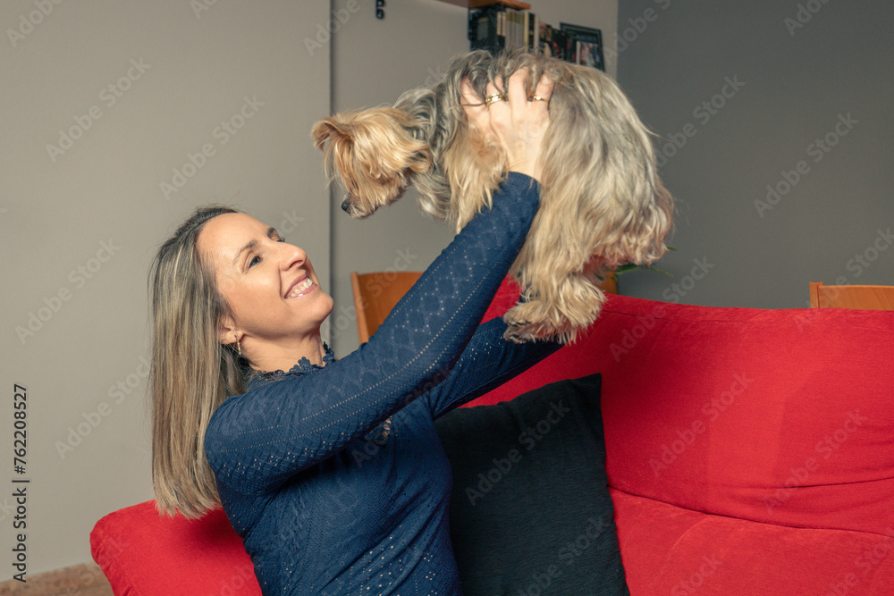 mujer rubia sonrriente y feliz jugando con su perro yorkshire en el ...