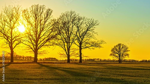 Stunning time lapse of beautiful sunset beyond silhouette of deciduous trees photo