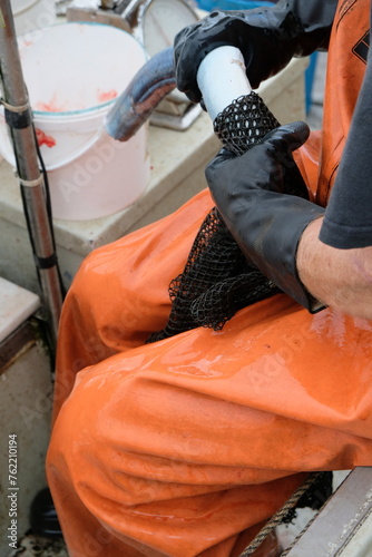 FU 2022-07-28 EckSchleswig 533 Jemand aht einen Fisch auf dem Schoß photo