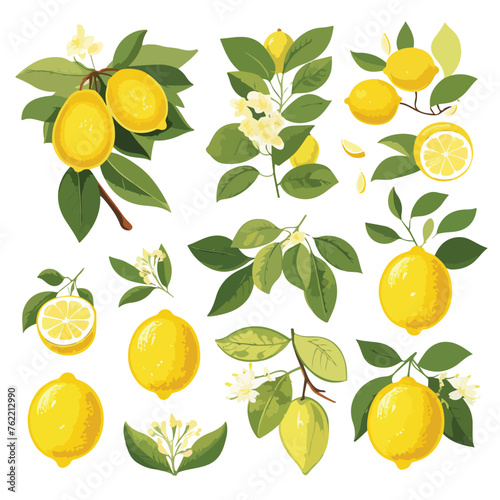 Lemon Theme Clipart clipart isolated on white background