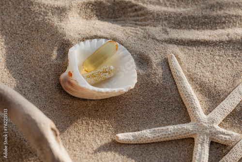 seashells on the sand