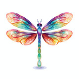 Magical Dragonfly Clipart clipart isolated on white background