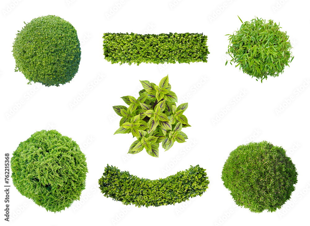 Obraz premium set of plants in top view isolated png on transparent background for garden and landscape architecture
