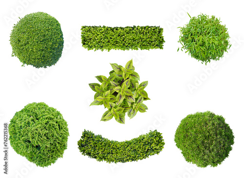 set of plants in top view isolated png on transparent  background for garden and landscape architecture