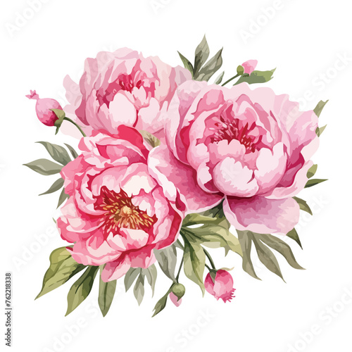 Pink Peony Bouquets Watercolor clipart isolated on white