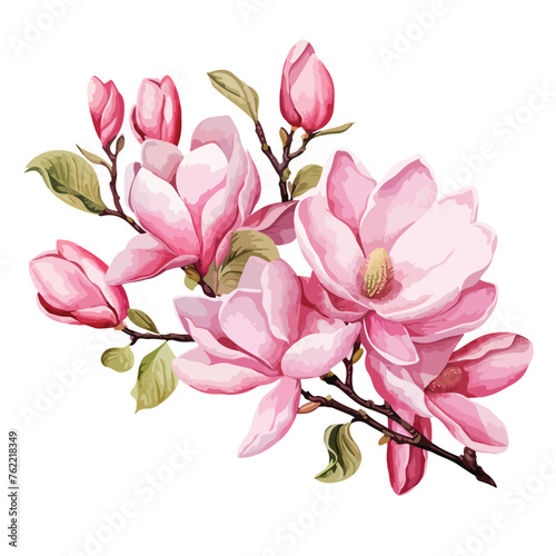 Pink Magnolia Clipart clipart isolated on white background