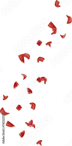 Fototapeta Naklejka Na Ścianę i Meble -  falling red paprika sliced