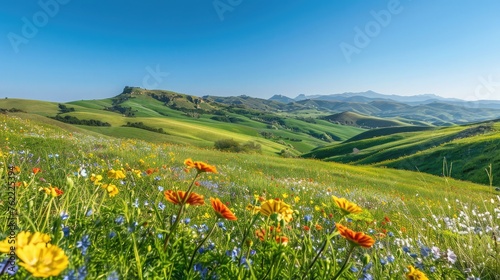 A panoramic vista of rolling hills blanketed in vibrant green grass, dotted with colorful wildflowers under a clear blue sky. photo