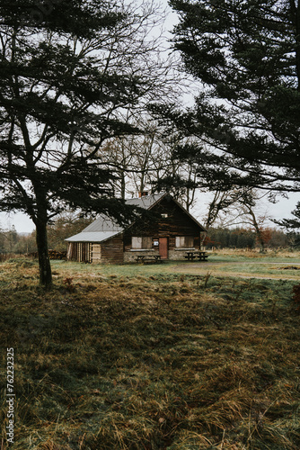 Old wooden cabin in the woods between trees