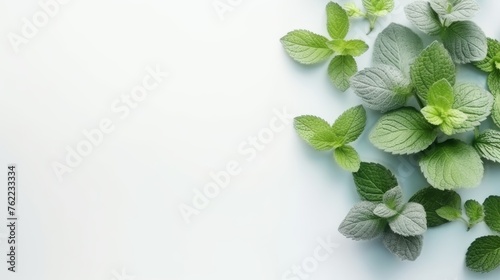 Mint Leaves Decoration on a White Background. Negative space. Generative AI