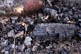 Charcoal. Wood charcoal. Burnt wood. Bonfire