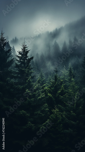 foggy landscape in a coniferous forest, gloomy autumn view twilight cold evening in a mountain forest, vertical panorama of tall trees © kichigin19